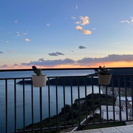 Apartments Villa Vanja Budva Dış mekan fotoğraf